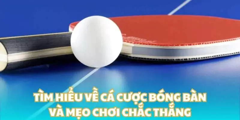 Bóng bàn KUBET có nhiều giải đấu